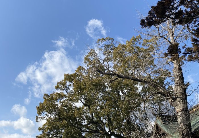 出来ること、やりたい事