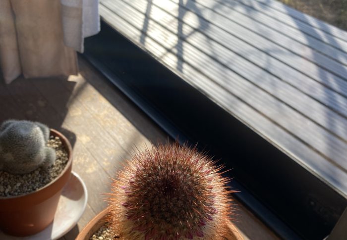 とにかく、止まらず、やってみよう