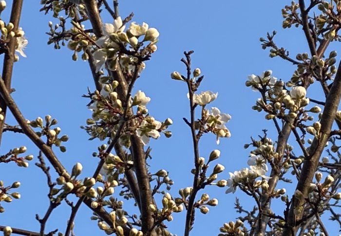 人事を尽くして天命を待つ⁉️