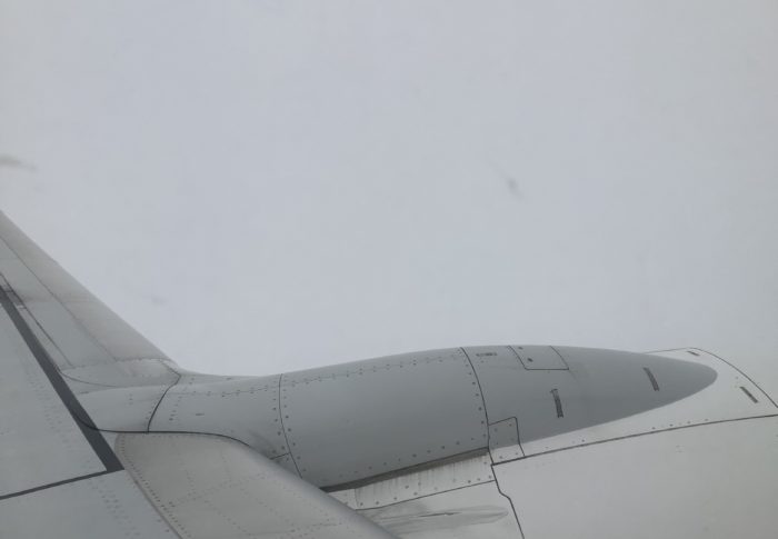 支配からの自由