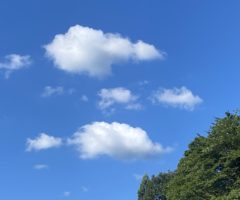 ただいま　もどりました