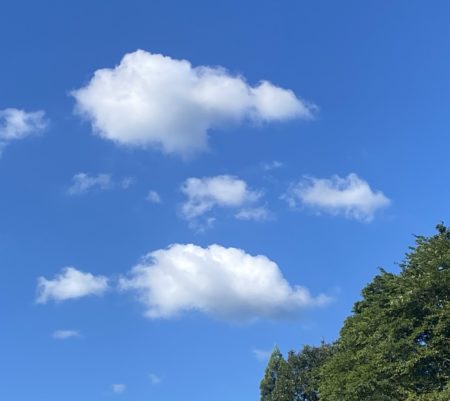 ただいま　もどりました