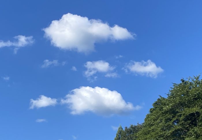 ただいま　もどりました